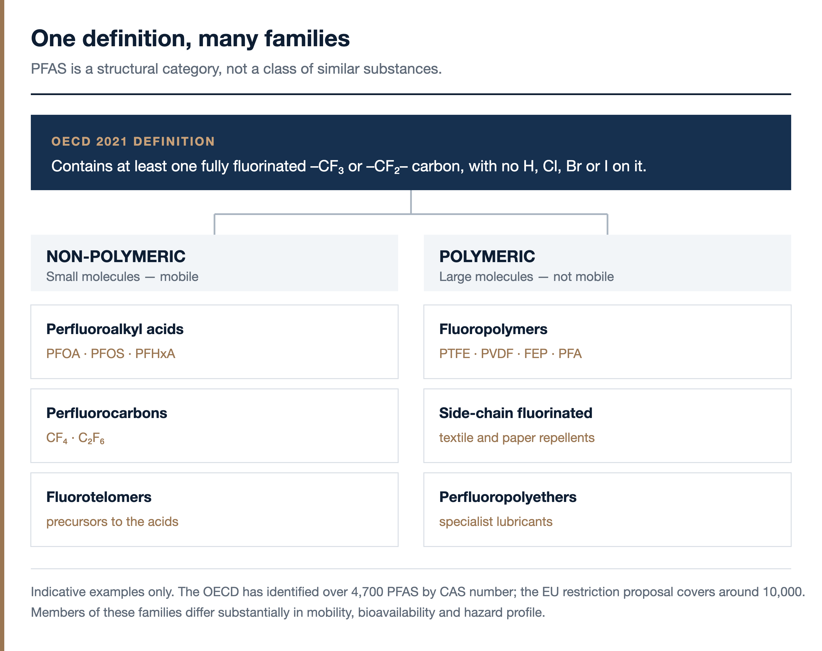A chart showing the OECD structural definition of PFAS at the top, branching into non-polymeric substances such as perfluoroalkyl acids, perfluorocarbons and fluorotelomers, and polymeric substances such as fluoropolymers, side-chain fluorinated polymers and perfluoropolyethers.